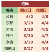 2017京都樱花什么时候开 京都赏樱花人少