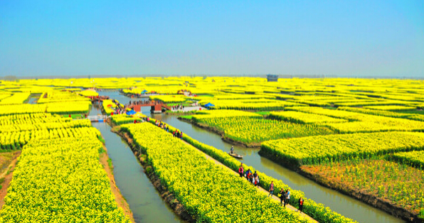 2017六大赏油菜花海胜地附观赏活动策划时间